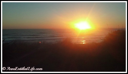 Florida Vacation Pictures