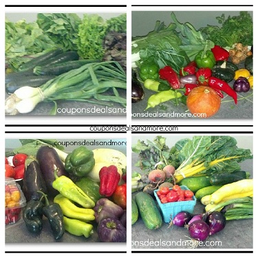 Our CSA Share