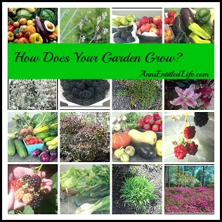 How Does Your Garden Grow?