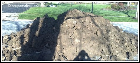 Filling In An In-ground Pool