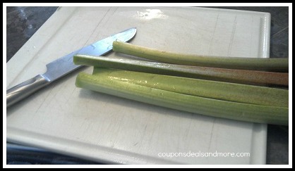 How To Freeze Rhubarb. Easy step by step directions on how to freeze rhubarb. A great way to enjoy the sweet tart taste of rhubarb in recipes year round.