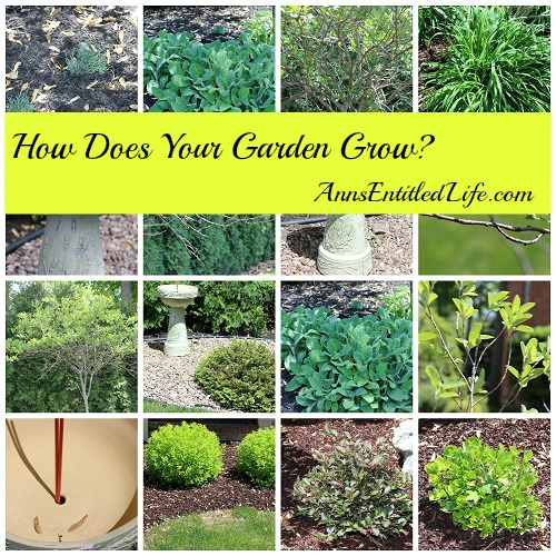 How Does Your Garden Grow?