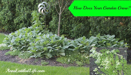 How Does Your Garden Grow?