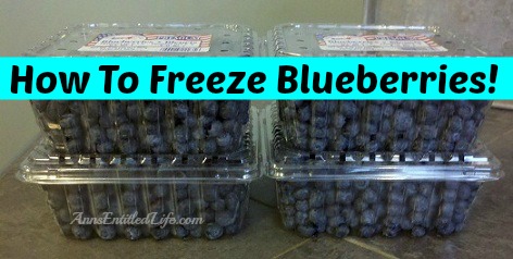 How To Freeze Blueberries