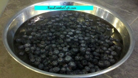 How To Freeze Blueberries