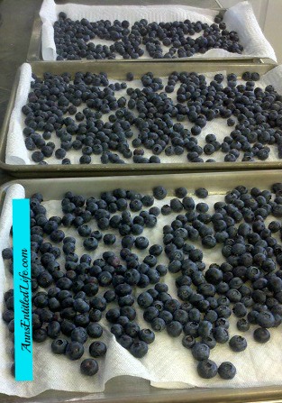 How To Freeze Blueberries