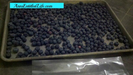 How To Freeze Blueberries