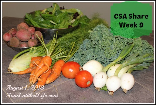 Our CSA Share