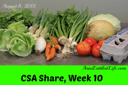 Our CSA Share