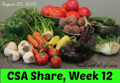 Our CSA Share