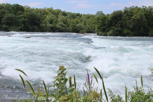 Niagara Falls