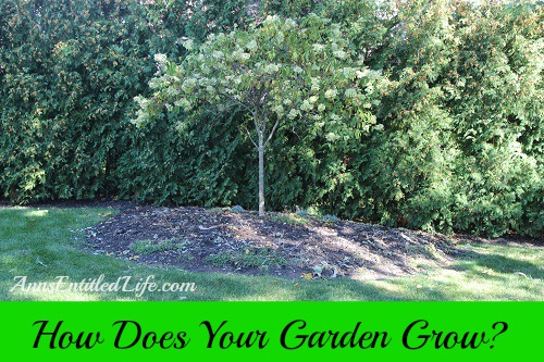 How Does Your Garden Grow?