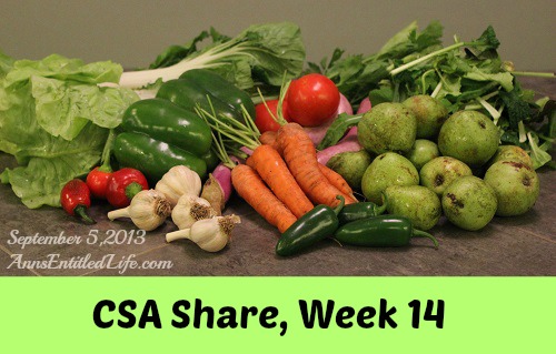 Our CSA Share