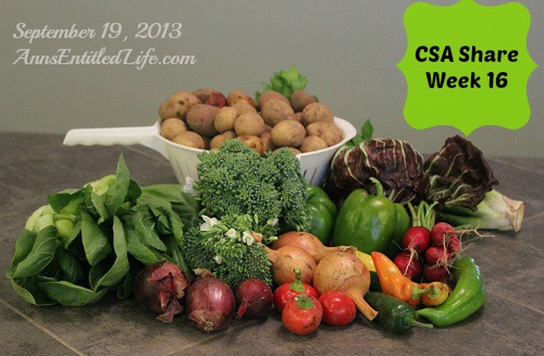 Our CSA Share