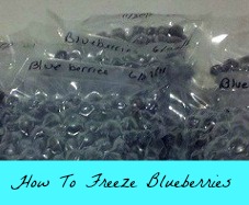 How To Freeze Blueberries