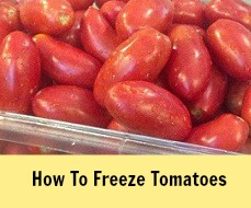 How To Freeze Tomatoes