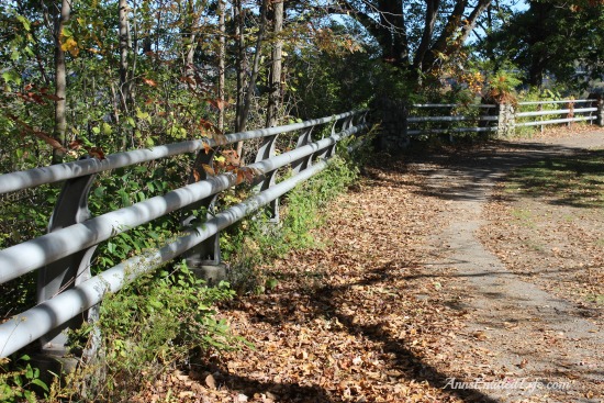 Devil's Hole State Park