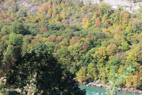 Devil's Hole State Park