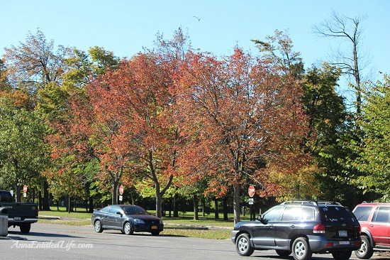 Niagara Falls, Goat Island and Three Sisters Islands