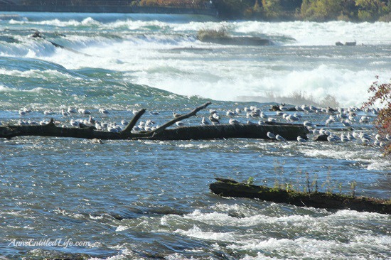 Niagara Falls, Goat Island and Three Sisters Islands