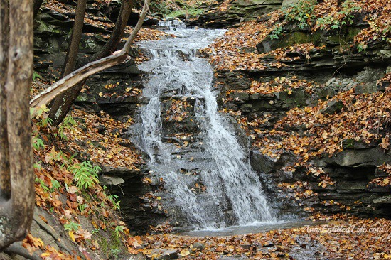 Letchworth State Park