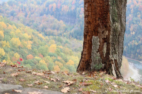 Letchworth State Park