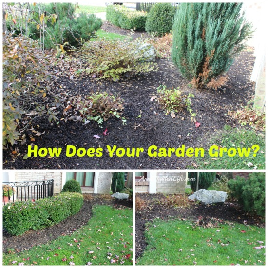 How Does Your Garden Grow?