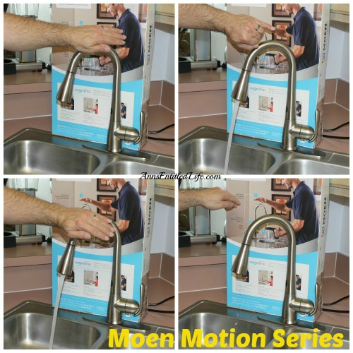 moen motion series