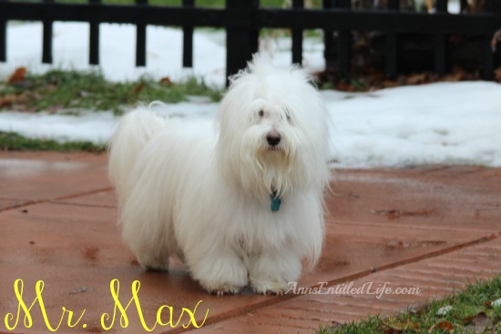 Max