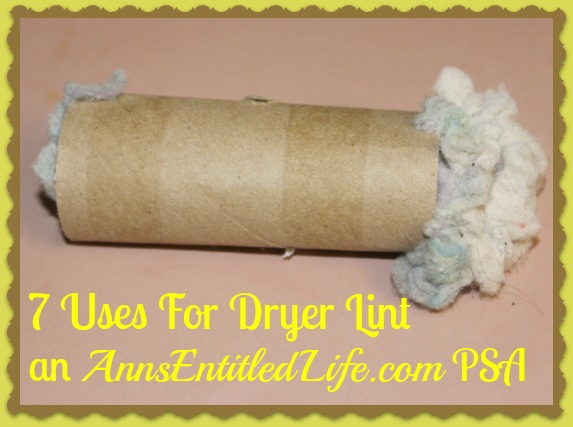7 Uses For Dryer Lint