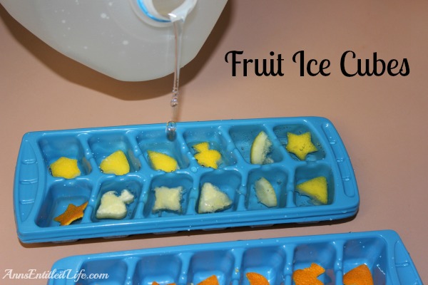 Fruit Ice Cubes