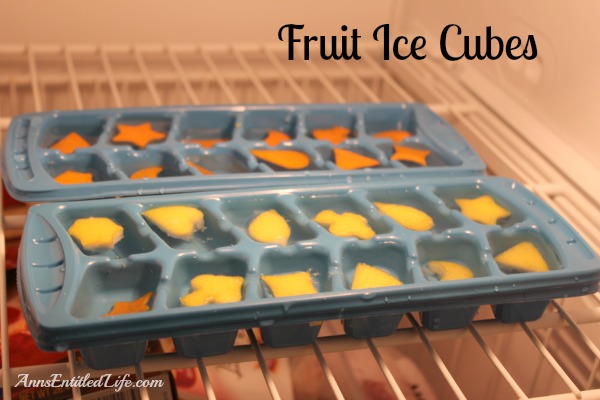 Fruit Ice Cubes