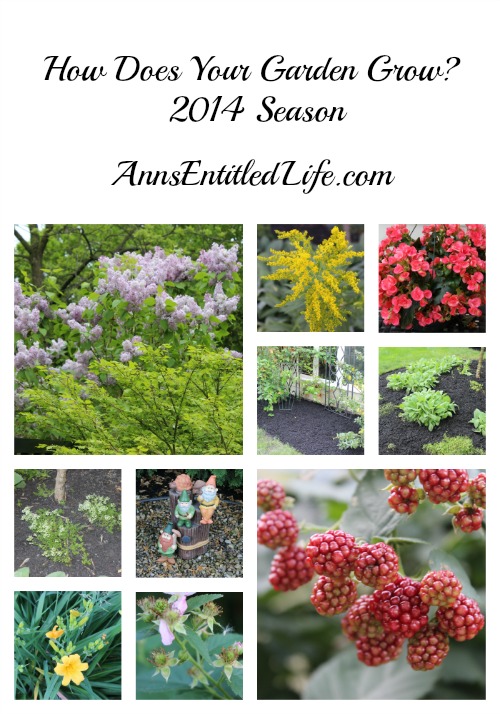 How Does Your Garden Grow? 2014 Season