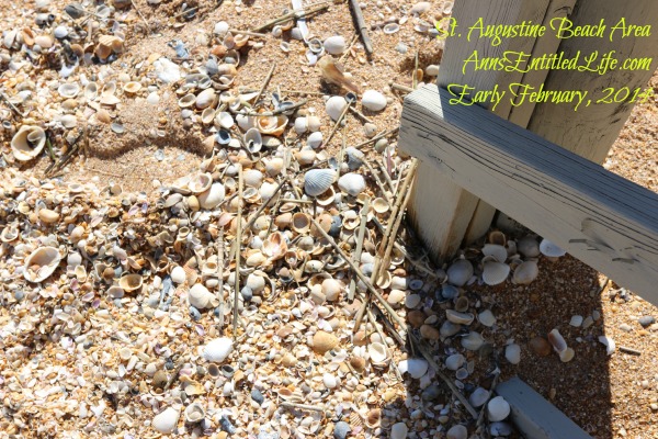 St. Augustine Beach, February 2014