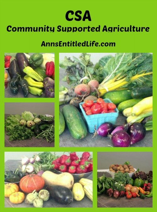 CSA - Community Supported Agriculture