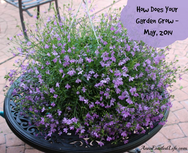 How Does Your Garden Grow - May, 2014