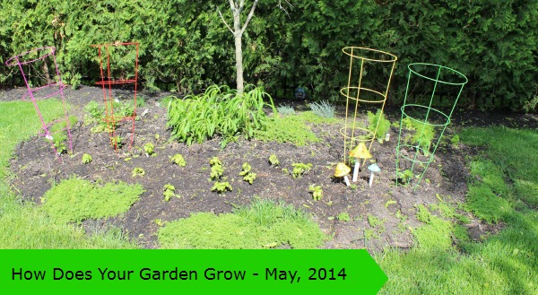 How Does Your Garden Grow - May, 2014