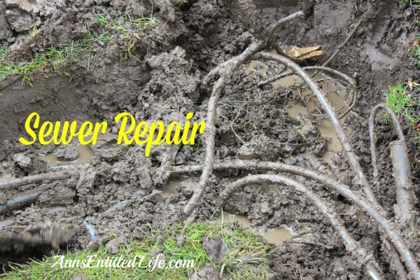 Sewer Repair