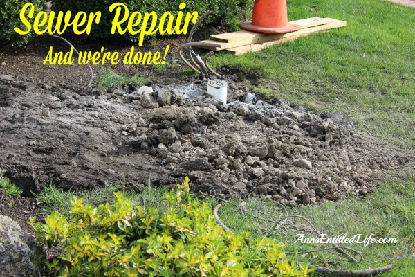 Sewer Repair