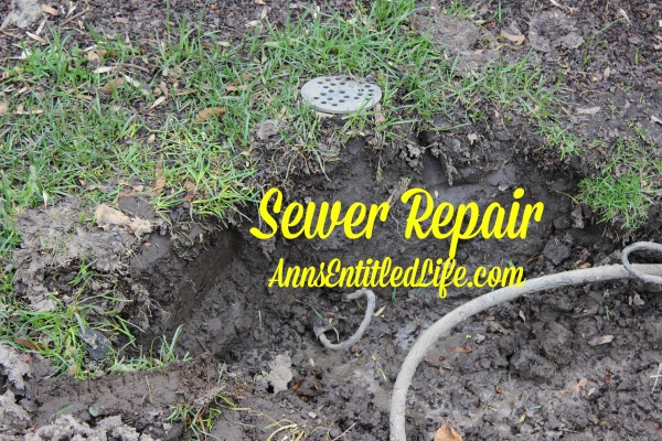 Sewer Repair