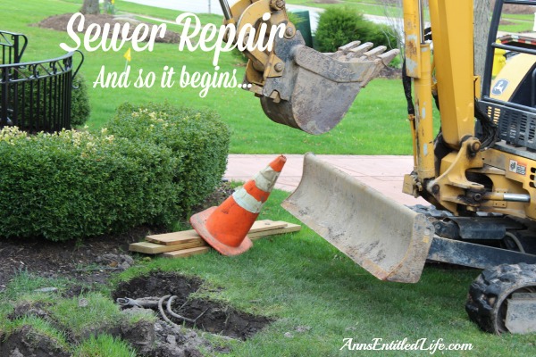 Sewer Repair