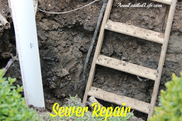 Sewer Repair