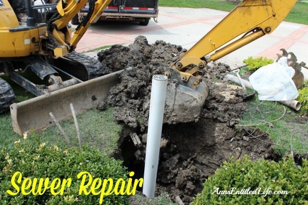 Sewer Repair