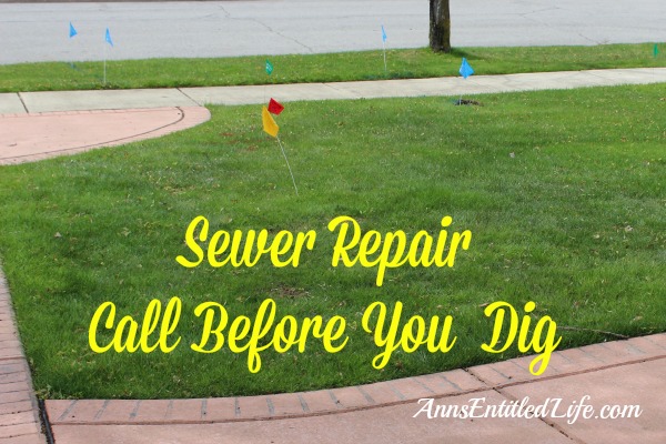 Sewer Repair