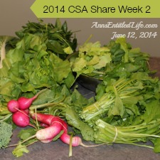 2014 CSA Share Week 2