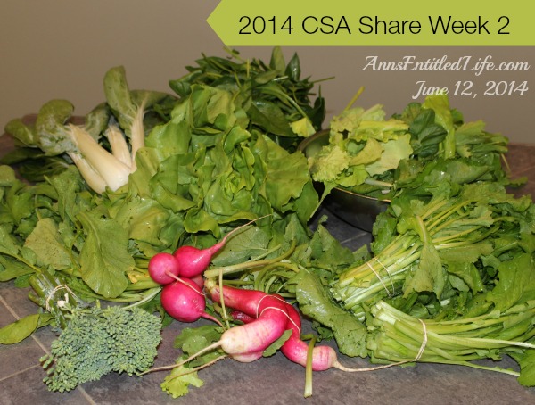 2014 CSA Share Week 2