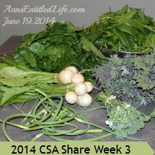 2014 CSA Share Week 3