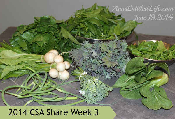 2014 CSA Share Week 3