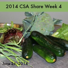 2014 CSA Share Week 4