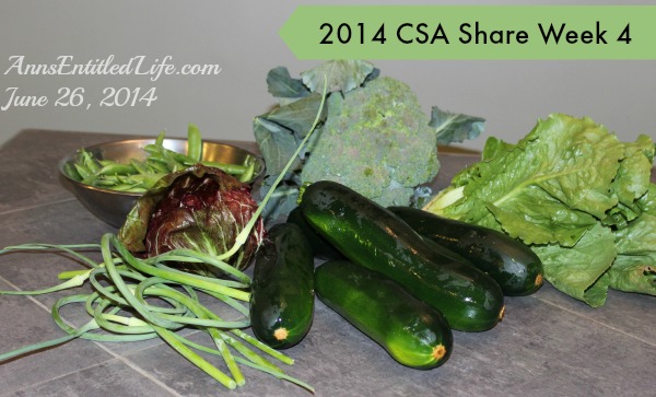 2014 CSA Share Week 3